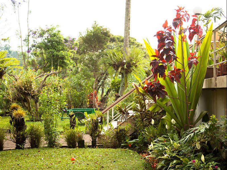 Bird Of Paradise Hotel Goroka Exteriör bild